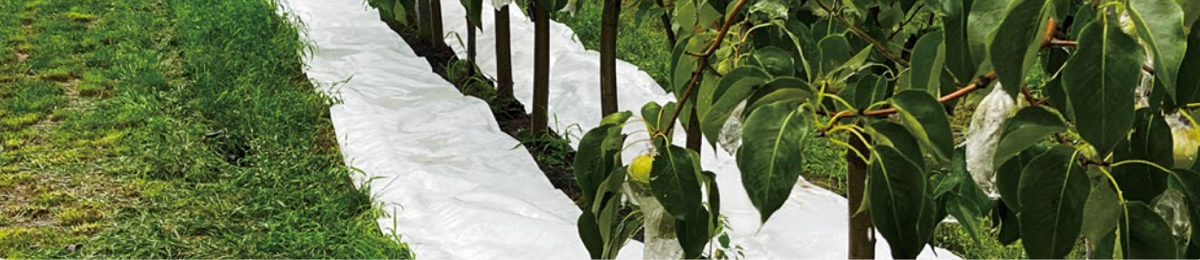 Agricultural Mulch Film Solution